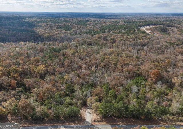 3rd image of 11700 Georgia Hwy 212, Covington, GA 30014 | MLS# 10791854