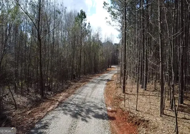 4th image of Tract 9 Ramah Church Rd #9, Barnesville, GA 30204 | MLS# 10817055