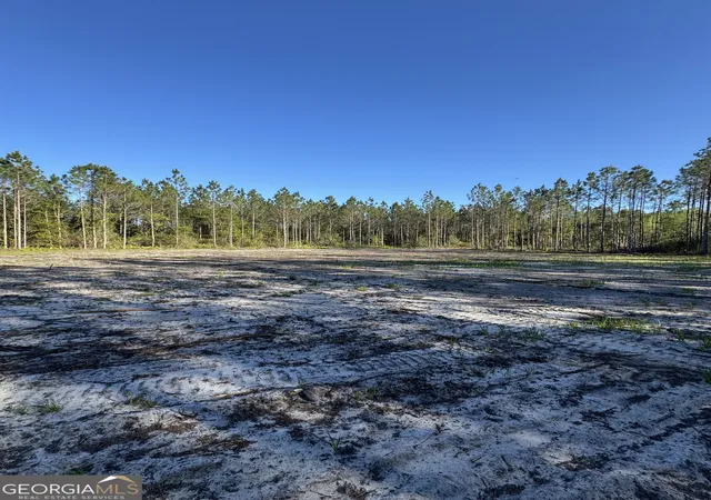Homes for sale in White Oak, GA | 4490 Ga Hwy 259, White Oak, GA 31568 | MLS# 10741710