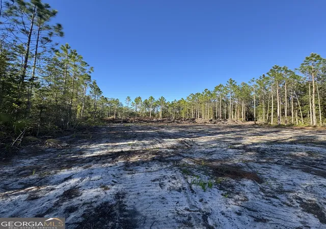 3rd image of 4490 Ga Hwy 259, White Oak, GA 31568 | MLS# 10741710