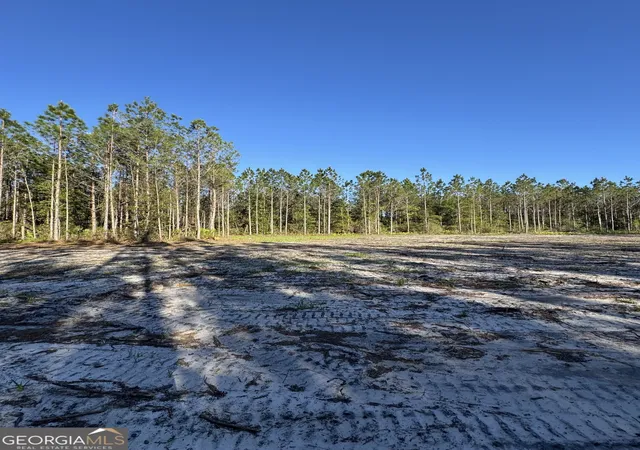 4th image of 4490 Ga Hwy 259, White Oak, GA 31568 | MLS# 10741710