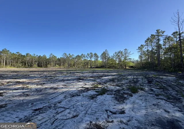 5th image of 4490 Ga Hwy 259, White Oak, GA 31568 | MLS# 10741710