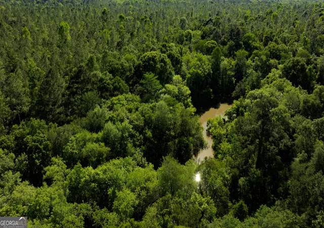 Photo 1 of Land for sale at 0 Robinson Rd, Baconton, GA 31716 | MLS# 10807605 | Listing updated on 2026-07-31