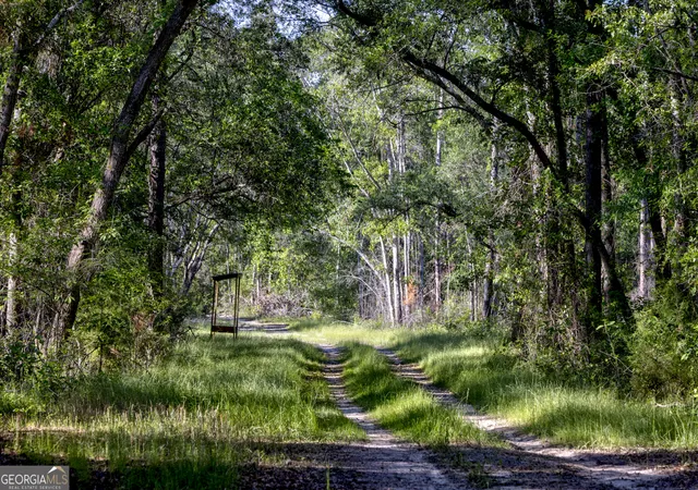 Photo 3 of Land for sale at 0 Robinson Rd, Baconton, GA 31716 | MLS# 10807605 | Listing updated on 2026-07-31