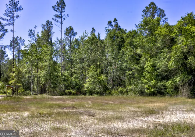 Photo 3 of House for sale at 0 Robinson Rd, Baconton, GA 31716 | MLS# 10807605 | Listing updated on 2026-07-31