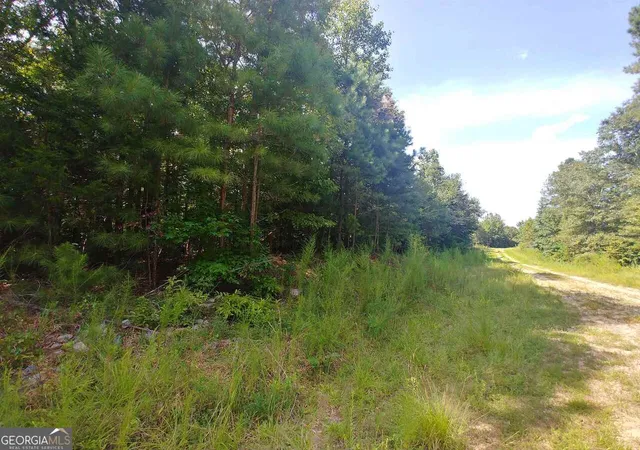 Homes for sale in Elberton, GA | Lot 24 Patriots Point, Elberton, GA 30635 | MLS# 10772516