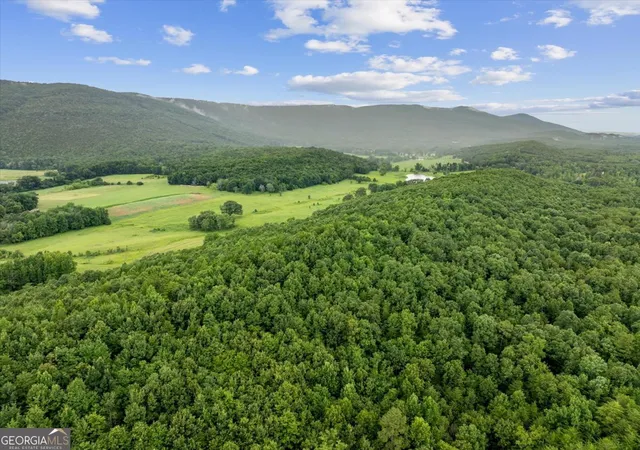 Photo 3 of Land for sale at 0 Fricks Gap Rd #5, Chickamauga, GA 30707 | MLS# 10805016 | Listing updated on 2026-07-28