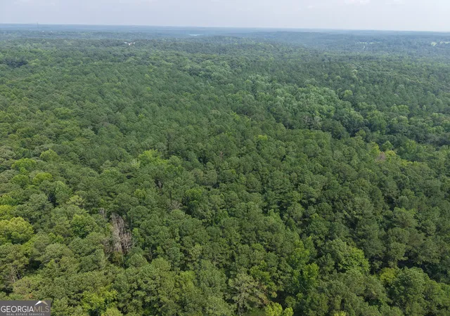 Photo 3 of Land for sale at 5191 Hwy 20, Loganville, GA 30052 | MLS# 10833801 | Listing updated on 2026-09-10