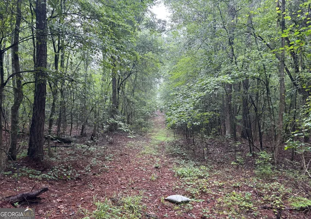 Photo 4 of Land for sale at 5191 Hwy 20, Loganville, GA 30052 | MLS# 10833801 | Listing updated on 2026-09-10