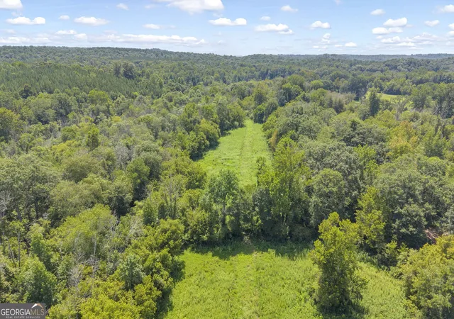 29th image of 0 Samples Bottom Rd, Homer, GA 30547 | MLS# 10823569