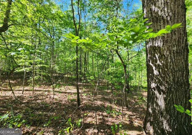 Photo 3 of Land for sale at 7210 Rand Dr, Douglasville, GA 30135 | MLS# 10815829 | Listing updated on 2026-08-13