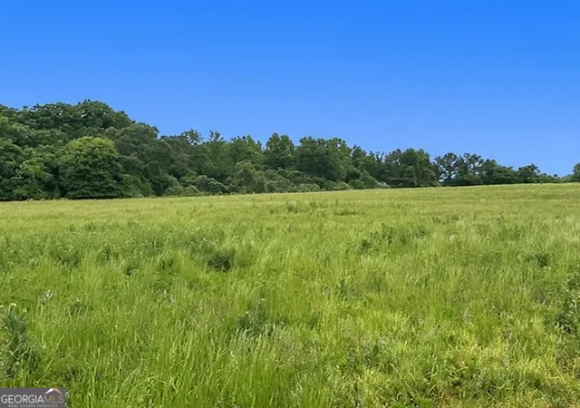 Photo 1 of Land for sale at 258 Whiting Rd, Lavonia, GA 30553 | MLS# 10752915 | Listing updated on 2026-06-10