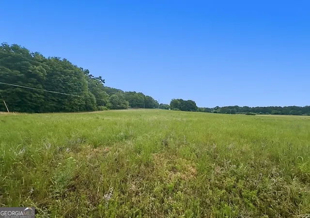 Photo 3 of Land for sale at 258 Whiting Rd, Lavonia, GA 30553 | MLS# 10752915 | Listing updated on 2026-06-10