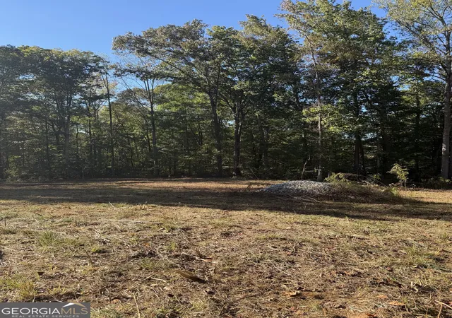 Photo 1 of Land for sale at 212 Hillshore Ct, Lavonia, GA 30553 | MLS# 10880459 | Listing updated on 2026-10-28