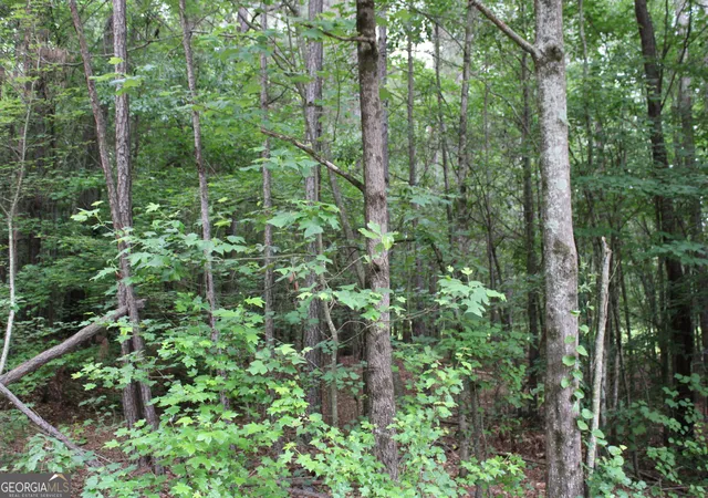 Photo 3 of Land for sale at 4 Garnett Ward Rd, Hull, GA 30646 | MLS# 10778102 | Listing updated on 2026-08-07