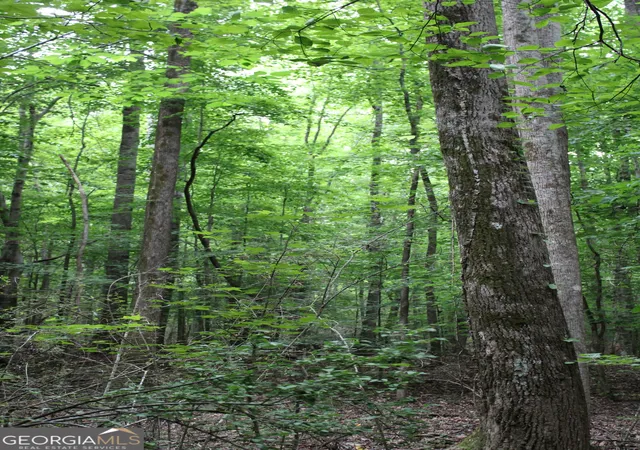 Photo 3 of Land for sale at 4 Garnett Ward Rd, Hull, GA 30646 | MLS# 10778102 | Listing updated on 2026-10-07