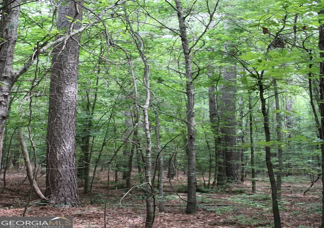 Photo 4 of Land for sale at 4 Garnett Ward Rd, Hull, GA 30646 | MLS# 10778102 | Listing updated on 2026-10-07