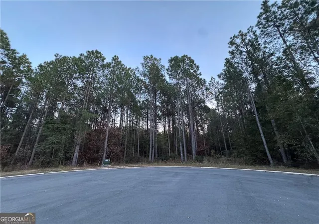 Photo 4 of Land for sale at Lot 222 Clam Crk, Waverly, GA 31565 | MLS# 10649343 | Listing updated on 2026-09-24