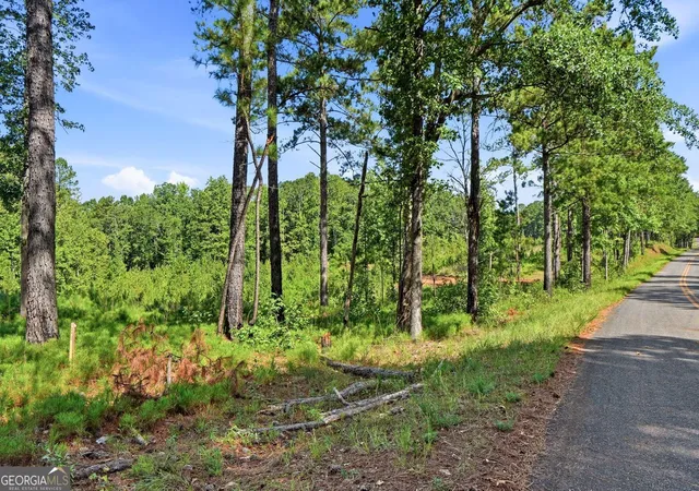 1st image of 1144 Giles Rd, Forsyth, GA 31029 | MLS# 10824522