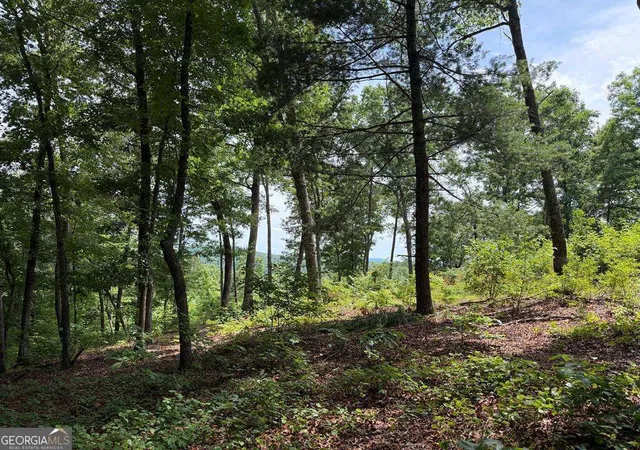 Photo 2 of Land for sale at Lot 20 Lake Top Ln #20, Ellijay, GA 30540 | MLS# 10790572 | Listing updated on 2026-08-26