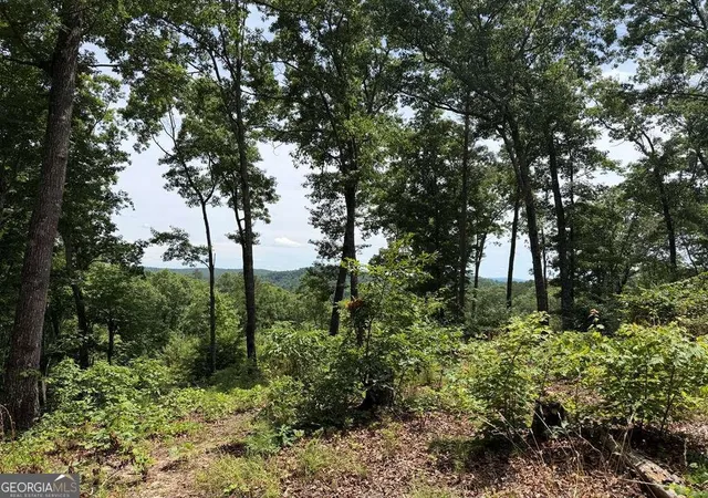 Photo 3 of Land for sale at Lot 20 Lake Top Ln #20, Ellijay, GA 30540 | MLS# 10790572 | Listing updated on 2026-08-26