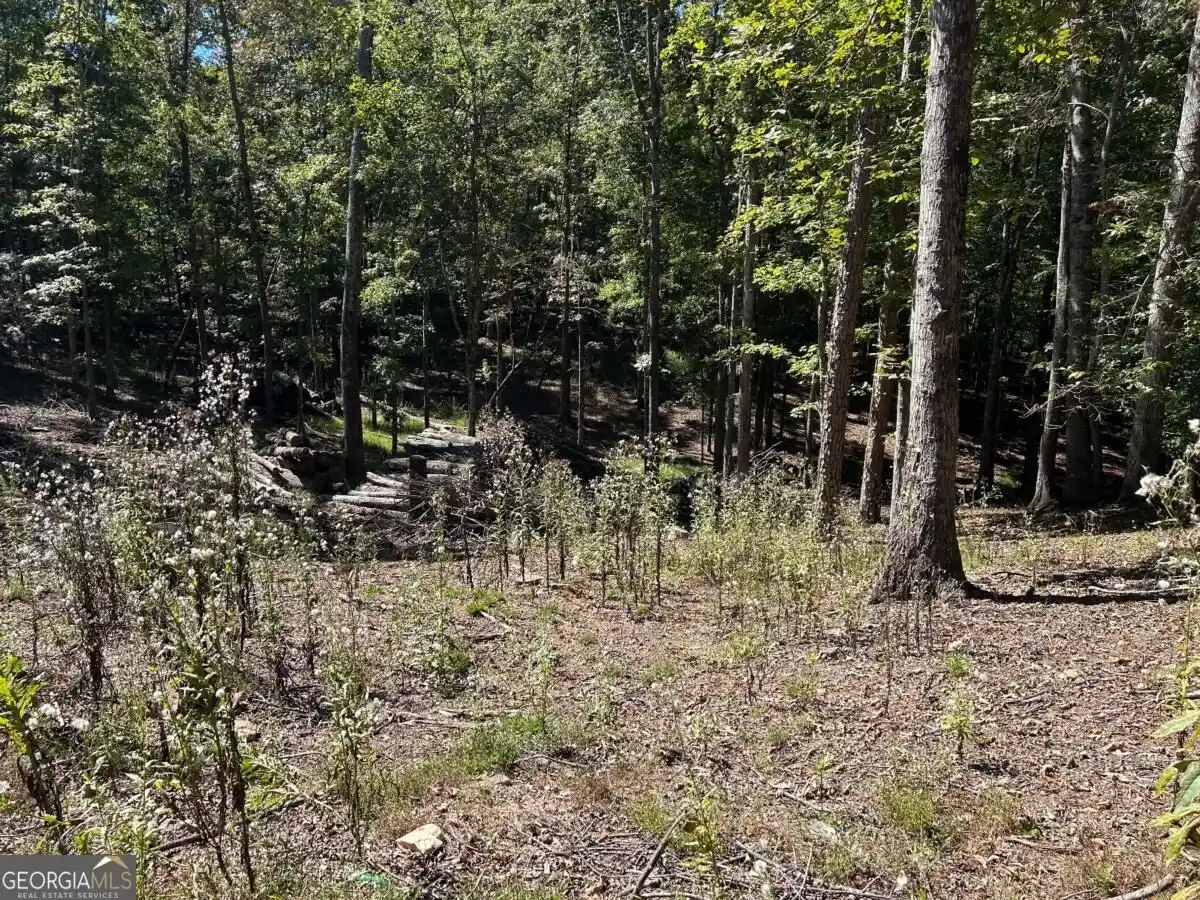 Photo 1 of Land for sale at Lot 533 Eagle Mountain Dr, Ellijay, GA 30540 | MLS# 10855983 | Listing updated on 2026-10-14