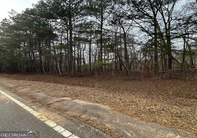 2nd image of 0 Tussahaw Point Dr, Jackson, GA 30233 | MLS# 10676702