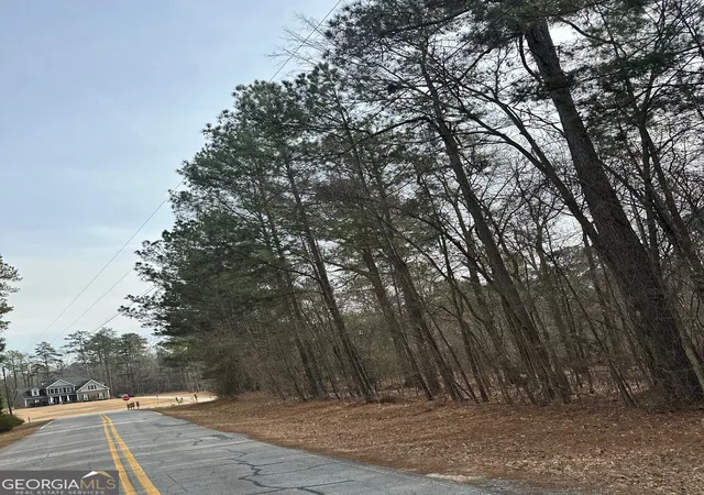 4th image of 0 Tussahaw Point Dr, Jackson, GA 30233 | MLS# 10676702