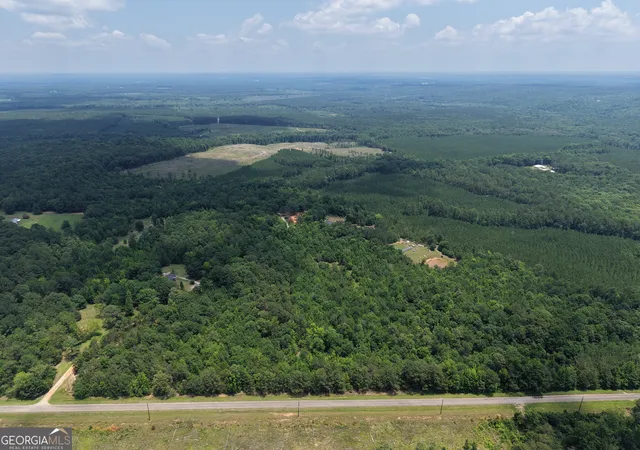Homes for sale in Tignall, GA | 1030 Flat Rock Rd, Tignall, GA 30668 | MLS# 10797213