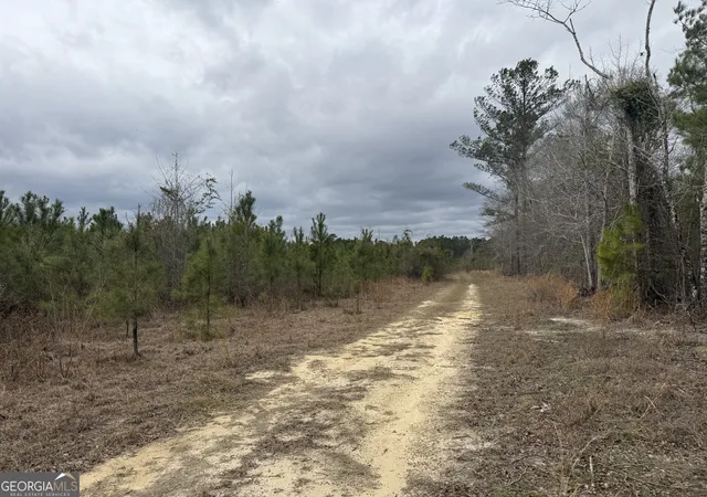 3rd image of 5 Keen Road, Cadwell, GA 31009 | MLS# 10781408