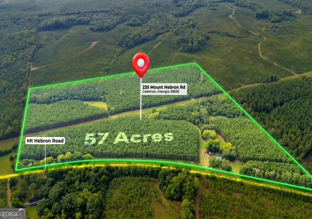1st image of 235 Mount Hebron Rd, Coleman, GA 39836 | MLS# 10830262