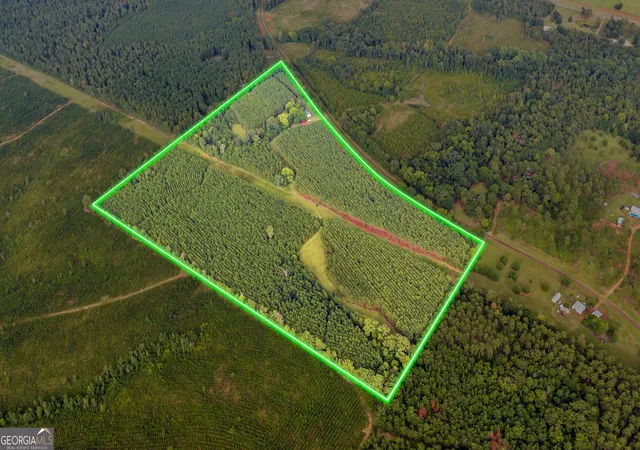 3rd image of 235 Mount Hebron Rd, Coleman, GA 39836 | MLS# 10830262