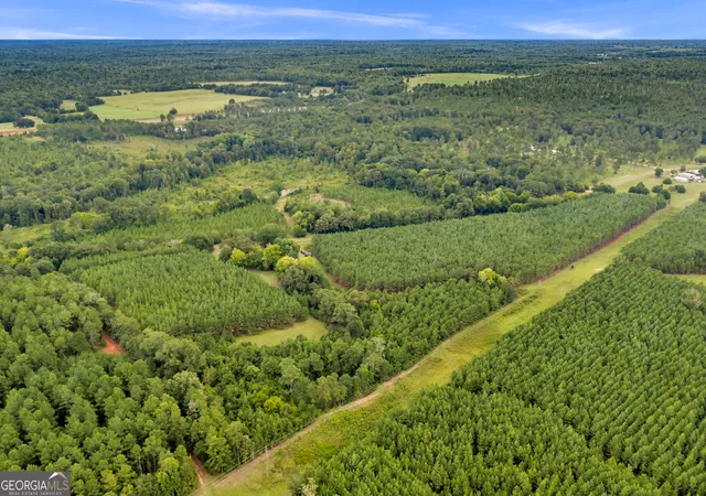 82nd image of 235 Mount Hebron Rd, Coleman, GA 39836 | MLS# 10830262