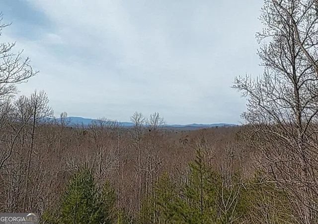 2nd image of 76 Channing Holw, Morganton, GA 30560 | MLS# 10810900
