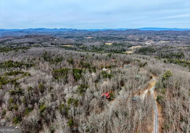 38th image of 76 Channing Holw, Morganton, GA 30560 | MLS# 10810900