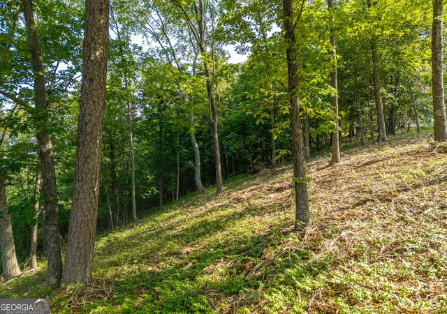 2nd image of 294 Adair Dr Ne, Ranger, GA 30734 | MLS# 10810358
