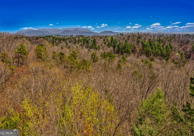 Photo 3 of Land for sale at 241 Acres Legion Rd #241 ACRES, Ellijay, GA 30540 | MLS# 10379432 | Listing updated on 2026-07-26