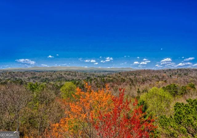 Photo 4 of Land for sale at 241 Acres Legion Rd #241 ACRES, Ellijay, GA 30540 | MLS# 10379432 | Listing updated on 2026-07-26