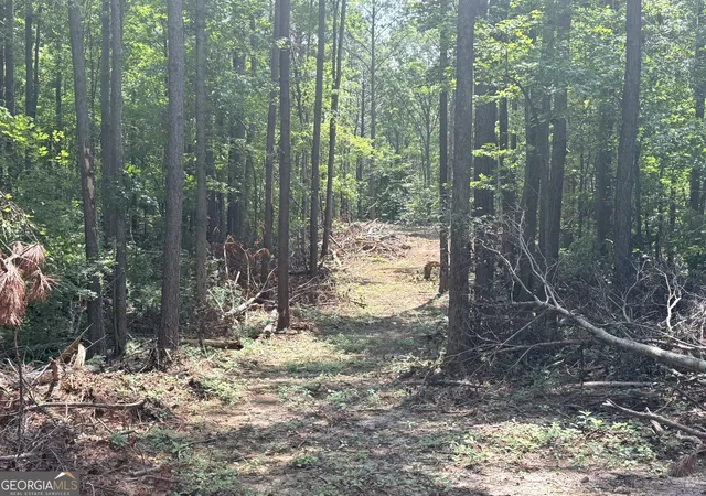 1st image of 6887 Mt Zion Rd, Waco, GA 30182 | MLS# 10814592