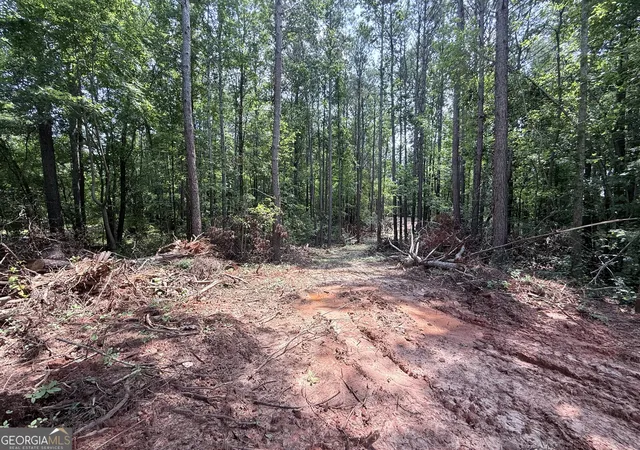 2nd image of 6887 Mt Zion Rd, Waco, GA 30182 | MLS# 10814592