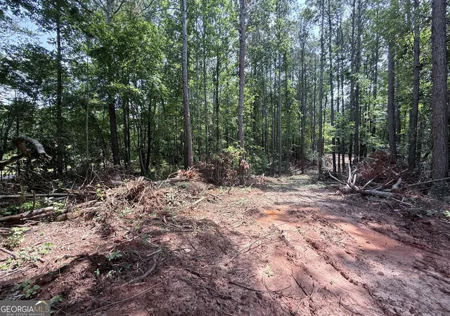 3rd image of 6887 Mt Zion Rd, Waco, GA 30182 | MLS# 10814592