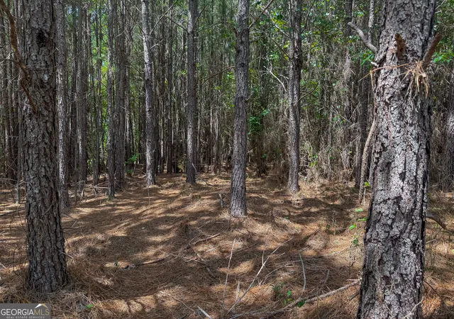 Photo 4 of Land for sale at 0 River Oak Dr, Eatonton, GA 31024 | MLS# 10828197 | Listing updated on 2026-10-10
