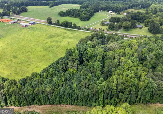 49th image of 1141 Old 41 Hwy, Milner, GA 30257 | MLS# 10810312