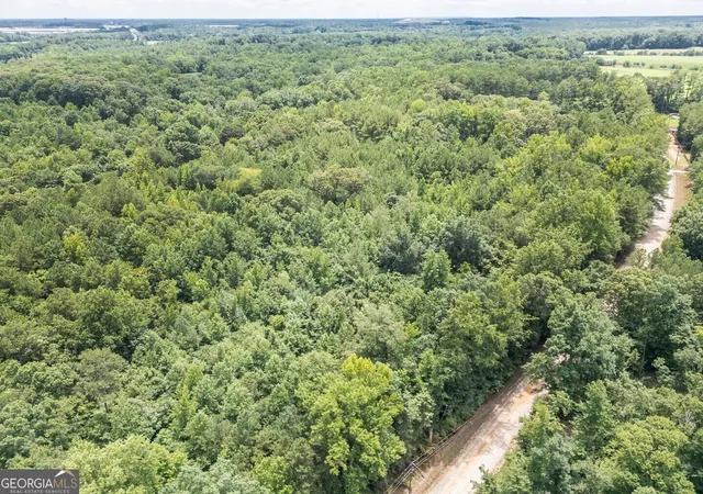 3rd image of 460 Pullin Rd, Locust Grove, GA 30248 | MLS# 10754770