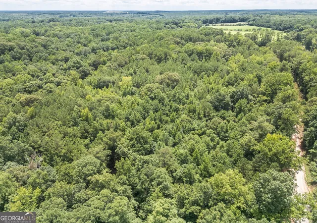 4th image of 460 Pullin Rd, Locust Grove, GA 30248 | MLS# 10754770