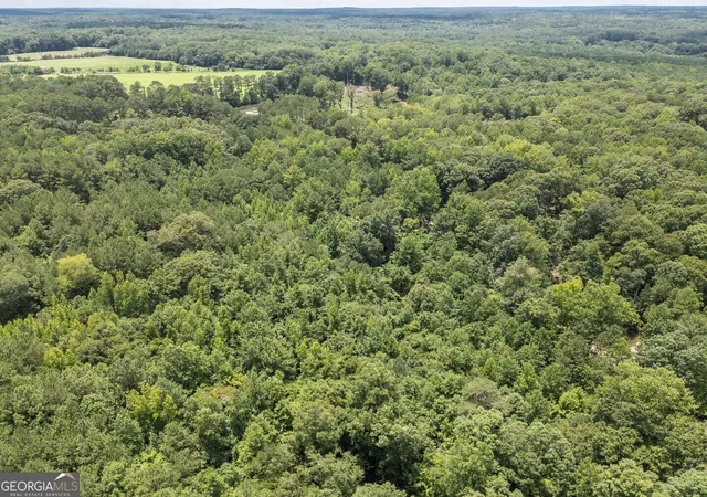 5th image of 460 Pullin Rd, Locust Grove, GA 30248 | MLS# 10754770