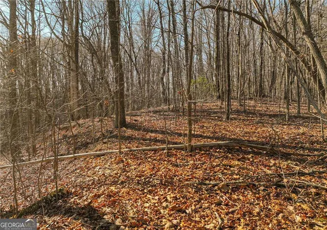 1st image of Lot 5 Mount Mincie Rd, Murrayville, GA 30564 | MLS# 10823129
