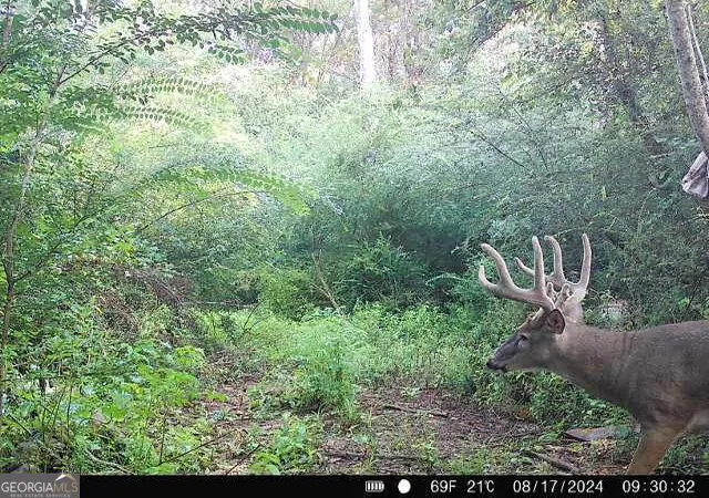Photo 1 of Land for sale at 1 Seven Islands Rd, Madison, GA 30650 | MLS# 10871757 | Listing updated on 2026-10-27