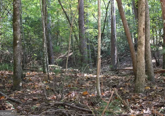 Photo 12 of Land for sale at Lot 546 Satsuma N Ct, Ellijay, GA 30540 | MLS# 10836580 | Listing updated on 2026-09-14
