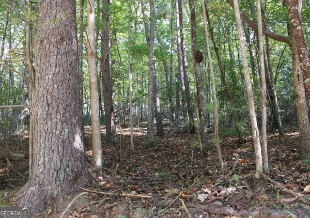 Photo 1 of Land for sale at Lot 546 Satsuma N Ct, Ellijay, GA 30540 | MLS# 10836580 | Listing updated on 2026-09-14